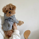Letter Print Fleece Dog Hoodie