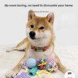 Interactive Rubber Dog Ball – Teeth Cleaning Toy