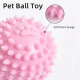 Interactive Rubber Dog Ball – Teeth Cleaning Toy