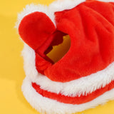 New Year's Tiger Costume for Pets