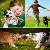 Pet Indestructible Toy For Medium Large Dogs Tough