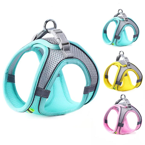 Reflective Pet Harness Vest – Adjustable Walking Set