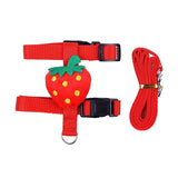 Rabbit Cat Harness – Small Animal Walking Set