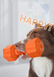 TPR Dumbbell Dog Toy – Squeaky Chew for Teeth Cleaning