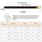 Luxury Pearl & Rhinestone Pet Necklace – Elegant Collar for Cats & Small Dogs