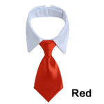 Adjustable Pet Bow Tie Collar for Pets