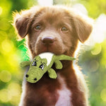 Cartoon Alligator Plush Chew Toy – Interactive Dog Sound & Teeth Trainer