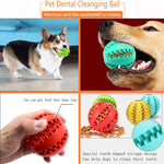 Interactive Chew & Treat Ball – Rubber & Silicone Pet Toy