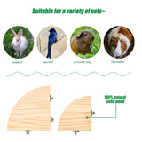 Fan-shaped Parrot Wooden Stand Rack Bird Cage Accessories Perch for Small Animal Chinchilla Squirrel Hamster Bird Stand Board