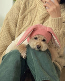 Knitted Dog Hat with Rabbit Ears – Warm Autumn/Winter Cap for Small Dogs & Puppies