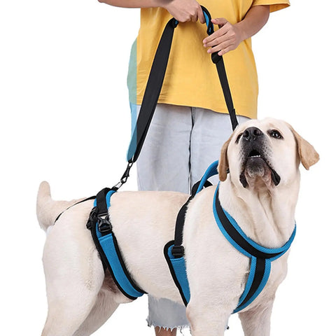 Dog Lift Harness (Protective Gear Auxiliary Belt)