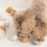 Squeaky Spiked Puppy Ball – Interactive Chew Toy for Small Dogs & Cats