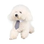 Adjustable Pet Bow Tie Collar for Pets