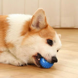 Smart Moving Dog Toy Ball – USB Rechargeable