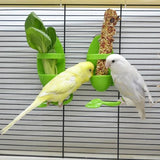 Bird Cuttlebone Holder – Cage Feeder for Parrots and Budgies