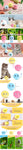 Automatic Interactive Cat Toy Ball – Boredom Relief