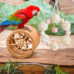 Fun & Durable Bird Toys – Chew, Bite, and Puzzle Toys for Parakeets, Parrots, Cockatoos, African Greys, Macaws & Lovebirds