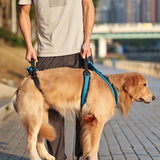 Dog Lift Harness (Protective Gear Auxiliary Belt)