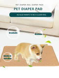 Reusable Washable Dog Pee Pad Training Mat