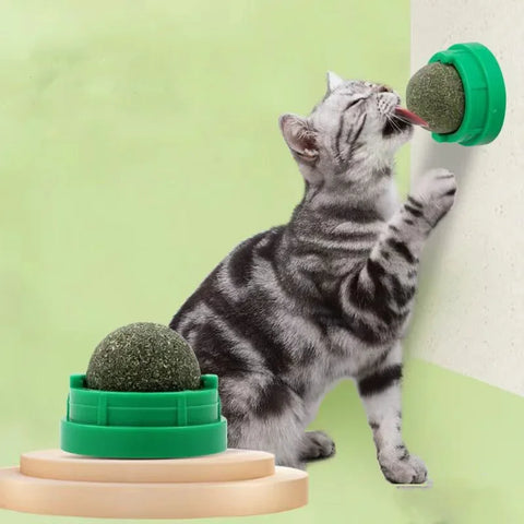 Catnip Wall Ball Toy – Healthy Cat Grass Treat & Scratcher | Natural Snack Aids Digestion & Keeps Cats Entertained