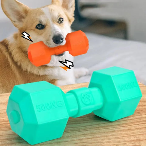 TPR Dumbbell Dog Toy – Squeaky Chew for Teeth Cleaning
