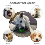 Interactive Chew & Treat Ball – Rubber & Silicone Pet Toy