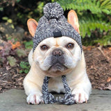 Winter Knitted Dog Hat – Windproof Fluffy Pom-Pom for Small Dogs