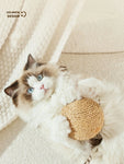 Interactive Sisal Cat Scratching Ball – 10CM Sounding Toy for Kittens | Teeth Cleaning, Anti-Bite & Fun Play