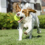 Durable Dog Chewing Squeak Toy Ball Outdoor Throwing Dog Recovery Training Pet Supplies