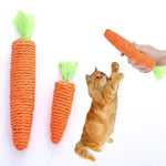 Cat toy - carrot teething and cat teasing sticks, bite-resistant and scratch-resistant for teething and clawing