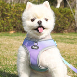 Step-In Dog Harness – Reflective & Soft