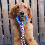 Supet Spiked Ring Dog Toy – Interactive Teeth Cleaning Chew