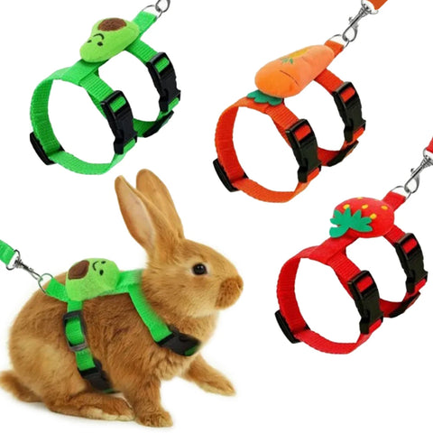 Rabbit Cat Harness – Small Animal Walking Set