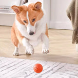 Smart Moving Dog Toy Ball – USB Rechargeable