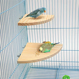 Fan-shaped Parrot Wooden Stand Rack Bird Cage Accessories Perch for Small Animal Chinchilla Squirrel Hamster Bird Stand Board