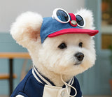 Pet Sun Hat & Sunglasses Set – Dog Cap & Cat Headwear