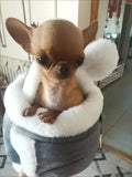 Winter Warm Pet Carrier Backpack for Small Dogs & Cats