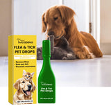 Cat Flea and Tick Treatment Drops