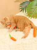 Cat toy - carrot teething and cat teasing sticks, bite-resistant and scratch-resistant for teething and clawing