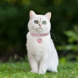 Shiny Crystal Bedazzled Cat Collar