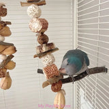 Colorful Block Bird Beak Grinding Toy Promotes Beak Health