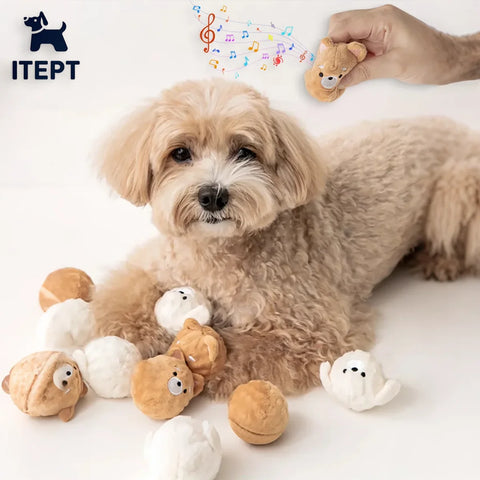 Squeaky Spiked Puppy Ball – Interactive Chew Toy for Small Dogs & Cats