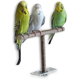 Wooden Bird Swing Toy – Parrot Perch Stand