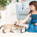 15° Tilted Elevated Cat/Dog Bowls