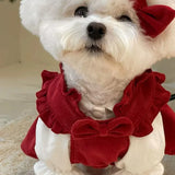 Christmas Bow Knot Dress Set for Dogs