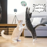 Interactive Cat Toy Balls – Stretchable Rolling Kitten Springs