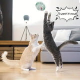 Interactive Cat Toy Balls – Stretchable Rolling Kitten Springs
