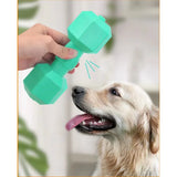 TPR Dumbbell Dog Toy – Squeaky Chew for Teeth Cleaning