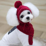 Winter Striped Dog Hat & Scarf Set – Knitted Christmas Pet Costume