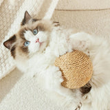 Interactive Sisal Cat Scratching Ball – 10CM Sounding Toy for Kittens | Teeth Cleaning, Anti-Bite & Fun Play